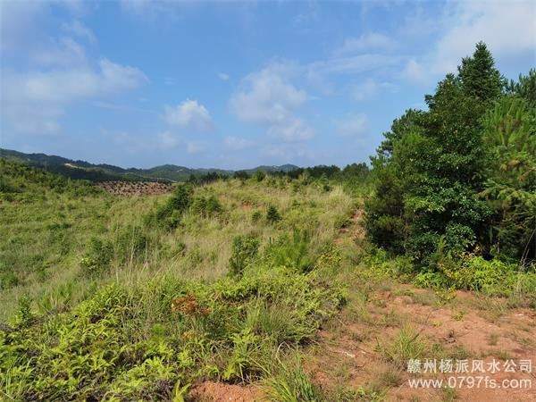 岳阳市带着徒弟上山学杨公风水现场操作